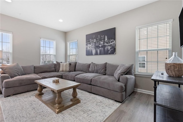 living room featuring hardwood / wood-style floors