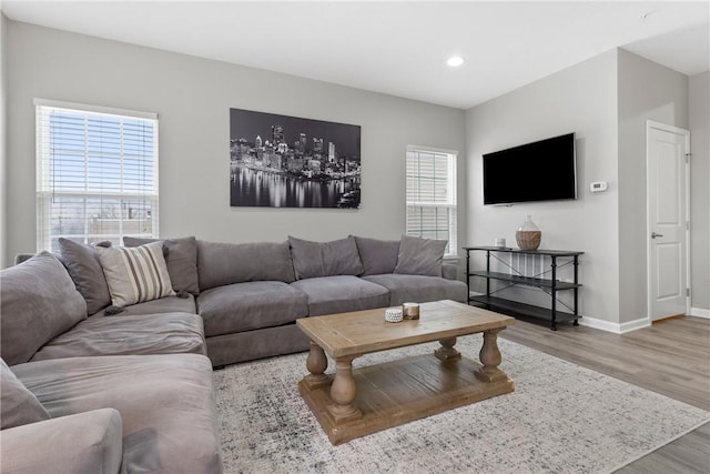 living room featuring wood-type flooring