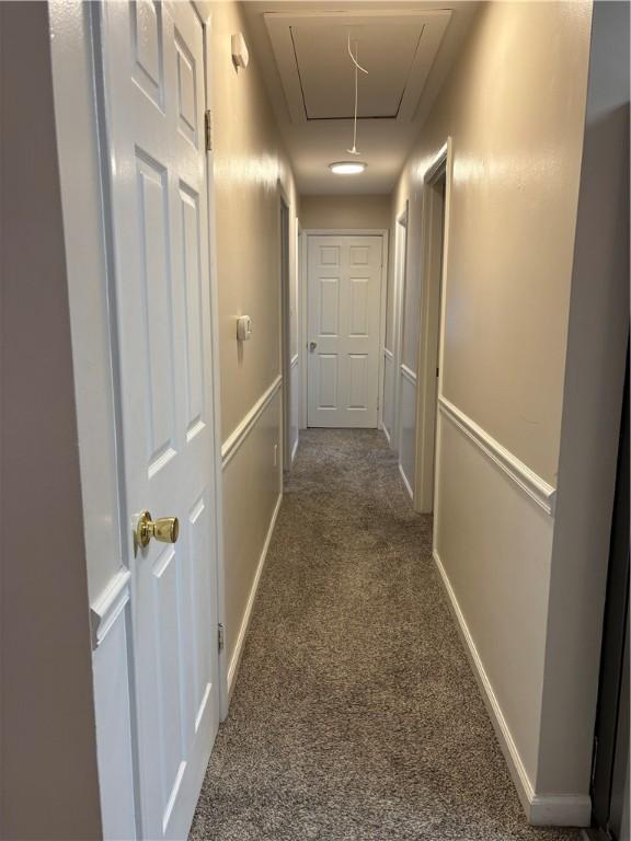 hallway with carpet floors