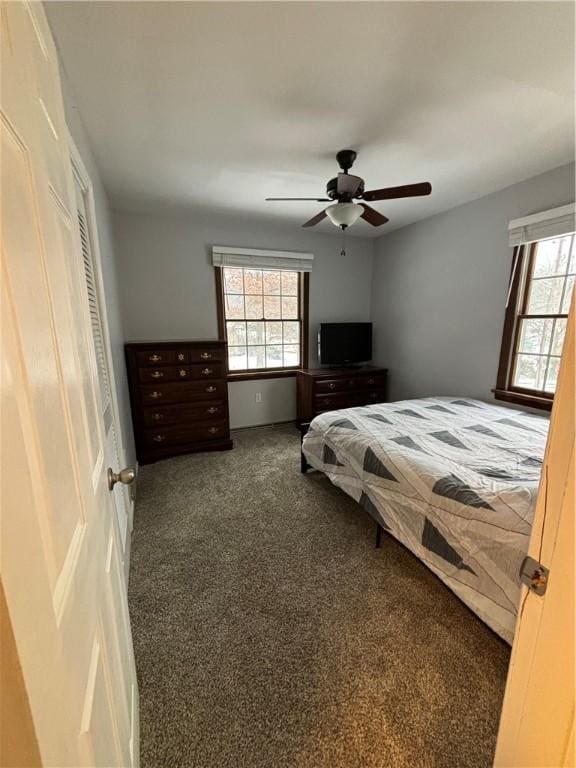 bedroom with ceiling fan, multiple windows, and dark colored carpet