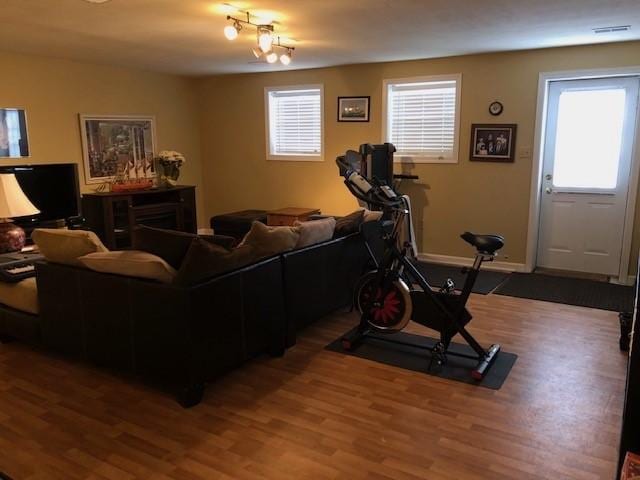 living room featuring hardwood / wood-style floors