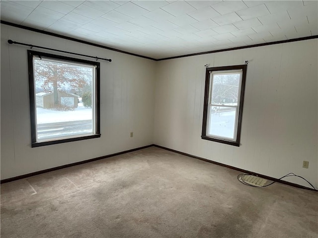 spare room with light colored carpet and crown molding