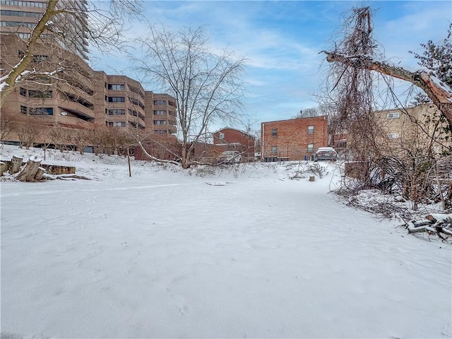 view of yard covered in snow