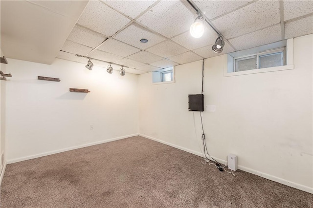 basement with carpet and rail lighting