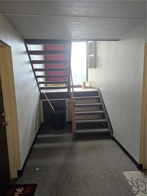 staircase featuring carpet flooring