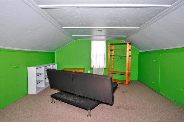 additional living space featuring light carpet, vaulted ceiling, and a textured ceiling