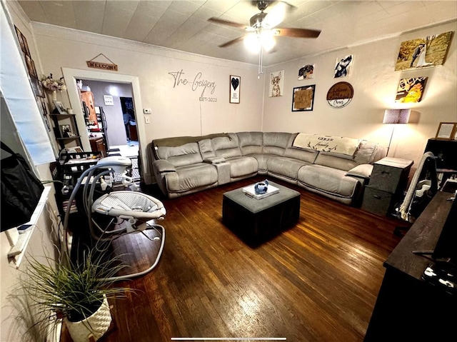 living room featuring dark hardwood / wood-style flooring, ornamental molding, and ceiling fan