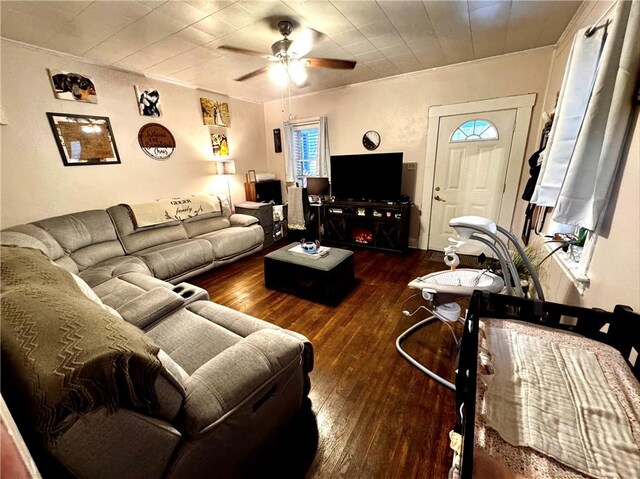 living room featuring dark hardwood / wood-style flooring and ceiling fan