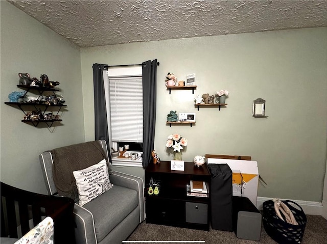 home office with carpet and a textured ceiling