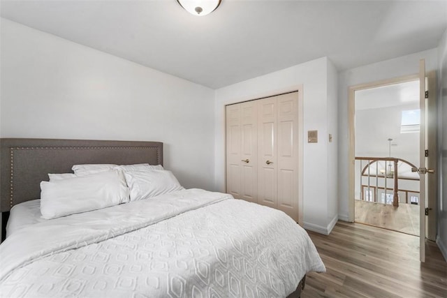 bedroom with a closet and wood-type flooring