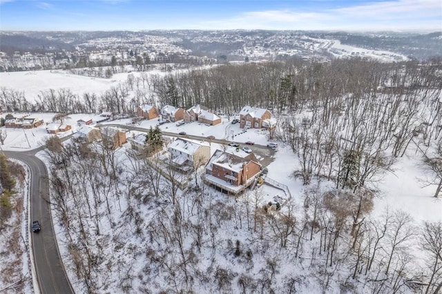 view of snowy aerial view