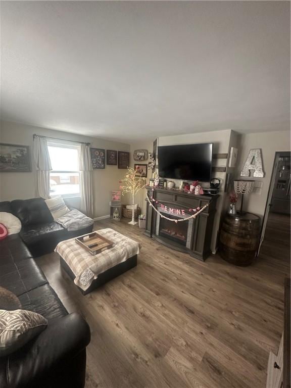 living room with hardwood / wood-style floors