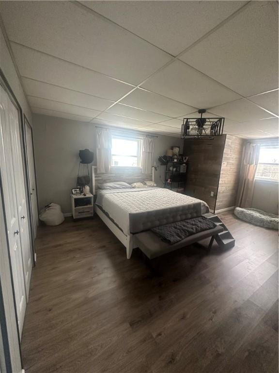 bedroom featuring hardwood / wood-style floors, a paneled ceiling, and a closet