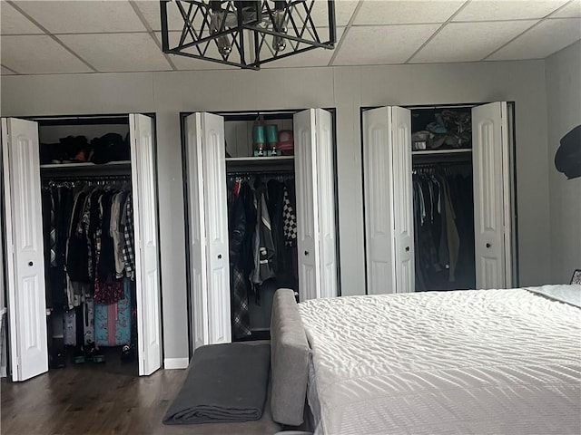 bedroom with multiple closets, dark hardwood / wood-style flooring, and a paneled ceiling