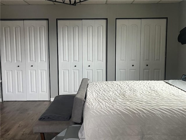 bedroom with two closets and wood-type flooring