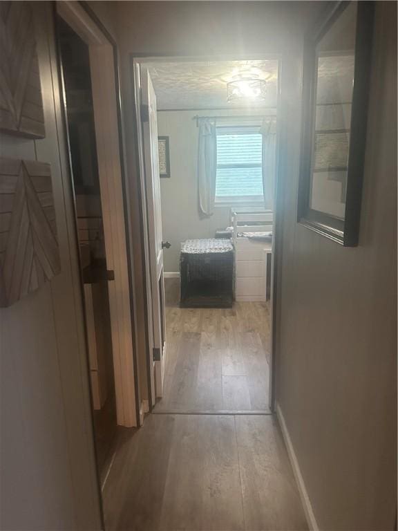 hallway featuring light wood-type flooring