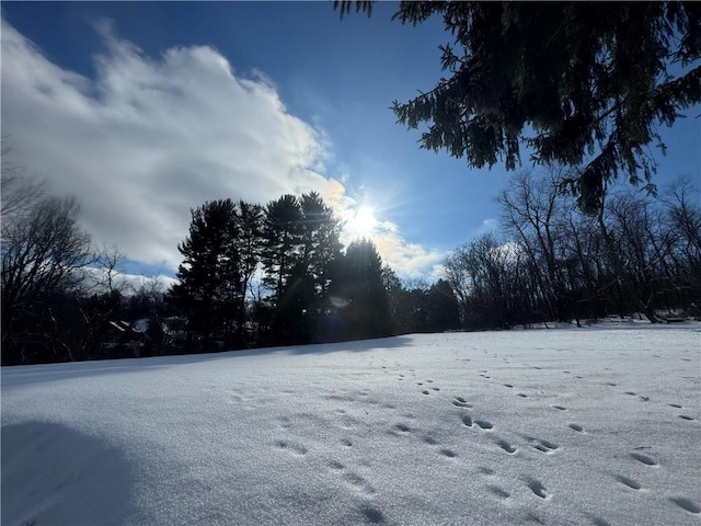 view of yard covered in snow