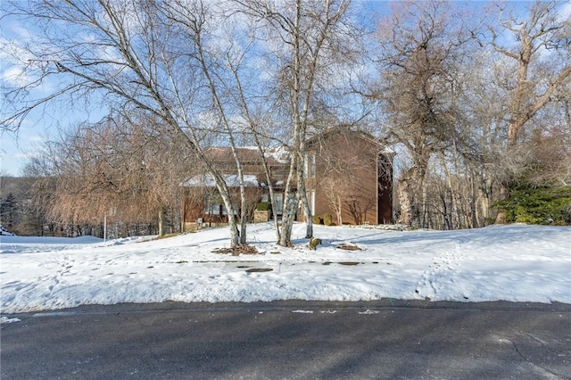 view of yard layered in snow