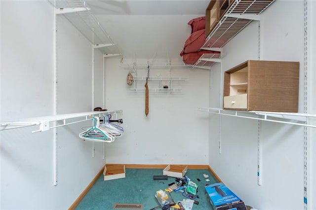 spacious closet featuring carpet flooring