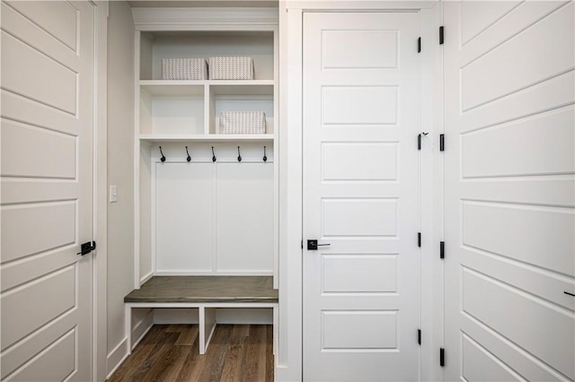 mudroom featuring dark wood-type flooring