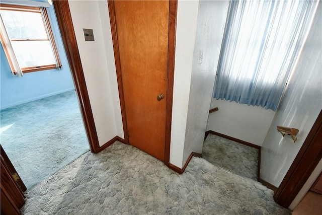 staircase featuring carpet floors