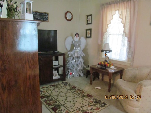 living room featuring carpet flooring