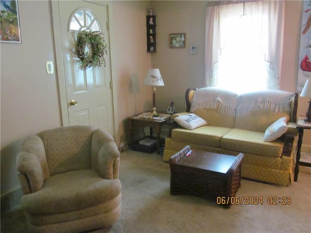 living room with light carpet and plenty of natural light