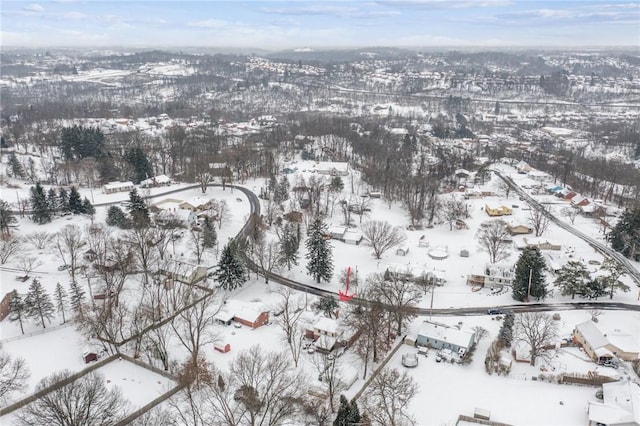 view of snowy aerial view