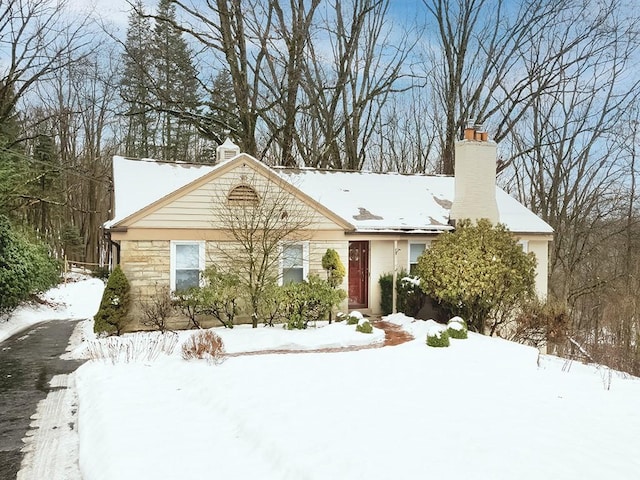 view of front of property featuring stone siding and a chimney