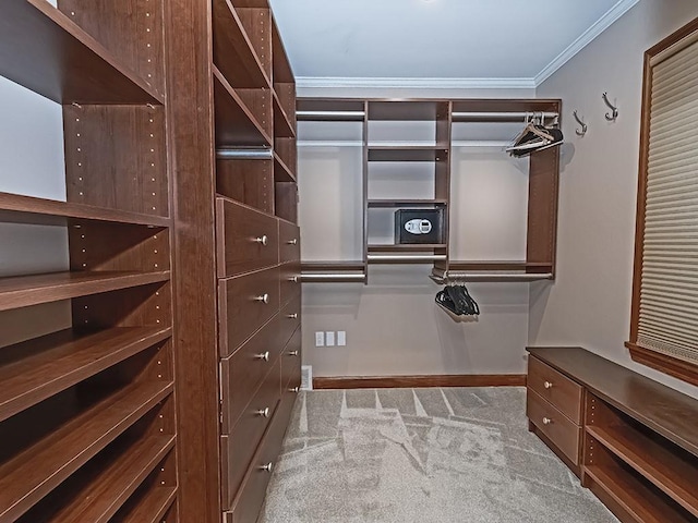 walk in closet with light colored carpet