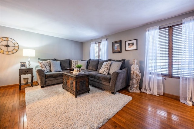 living room with wood-type flooring