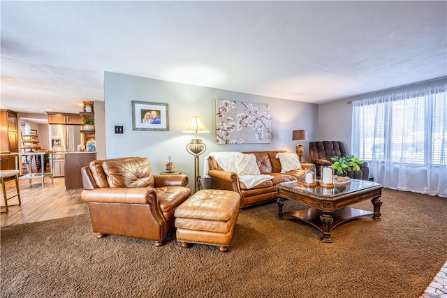 living room with carpet floors