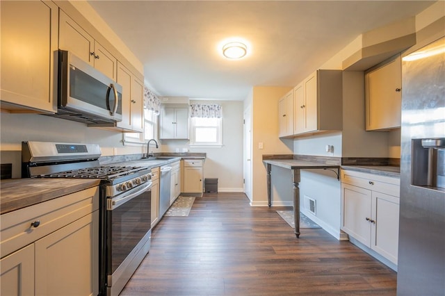 kitchen featuring stainless steel appliances, dark hardwood / wood-style floors, and sink