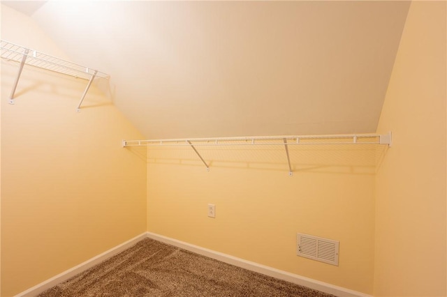 spacious closet featuring carpet