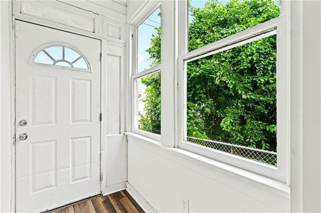 foyer featuring a healthy amount of sunlight and dark hardwood / wood-style floors