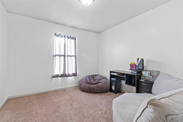 living area with carpet flooring