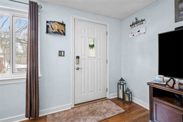 foyer entrance featuring dark wood-type flooring