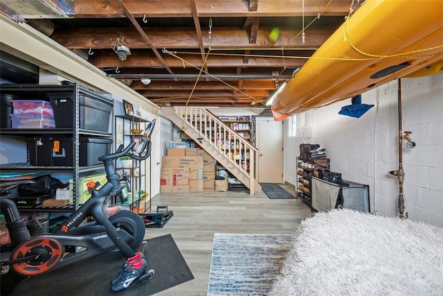 basement featuring hardwood / wood-style floors