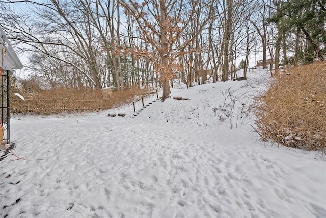 view of yard layered in snow