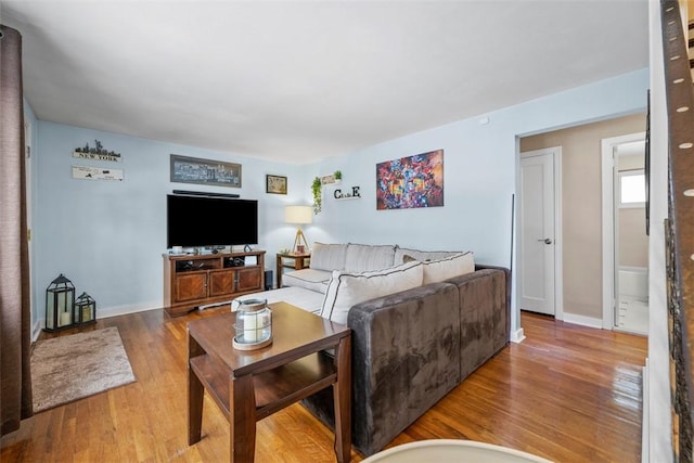 living room with wood-type flooring