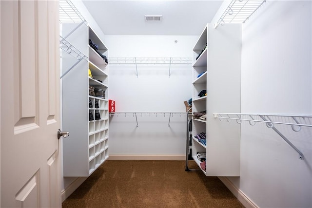 walk in closet with dark colored carpet