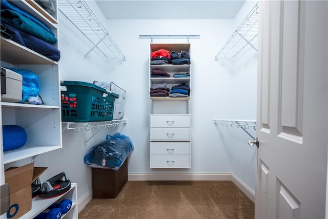 walk in closet with carpet floors