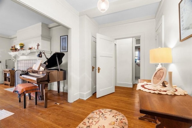 interior space featuring wood-type flooring and ornamental molding