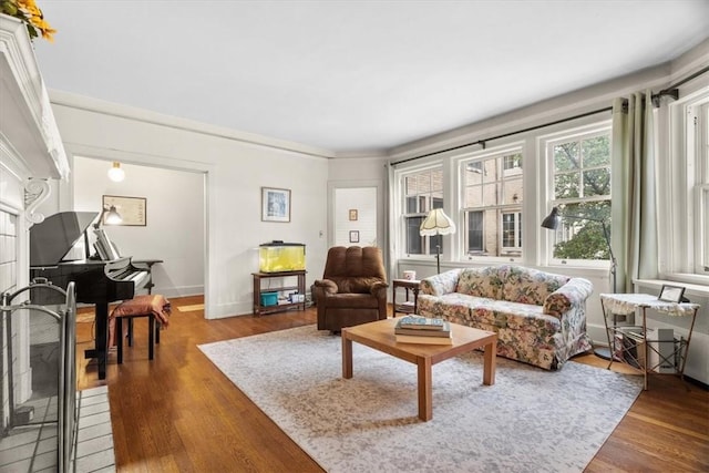 living room featuring hardwood / wood-style flooring