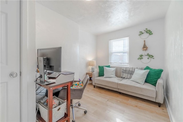 home office featuring light hardwood / wood-style flooring