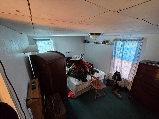 bedroom featuring carpet