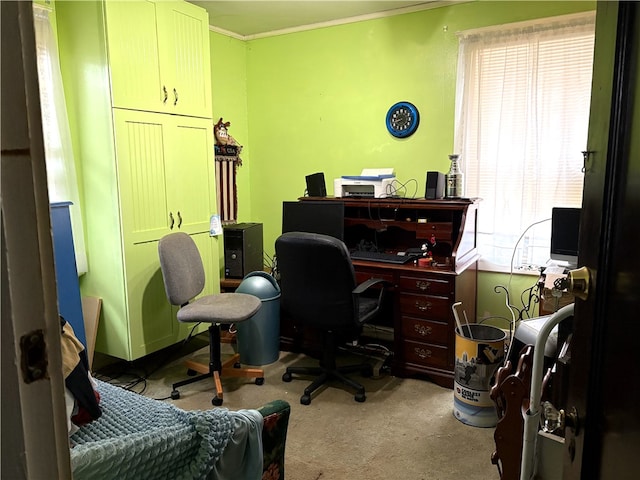 carpeted office space featuring ornamental molding and a healthy amount of sunlight