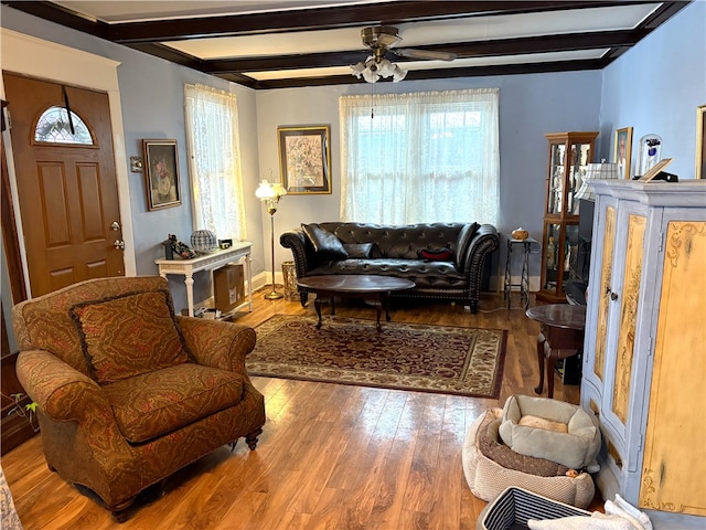 living room with ceiling fan, beam ceiling, and wood-type flooring