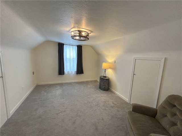 additional living space with carpet, a textured ceiling, and vaulted ceiling