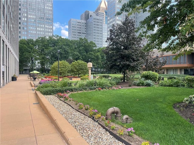 surrounding community featuring a lawn